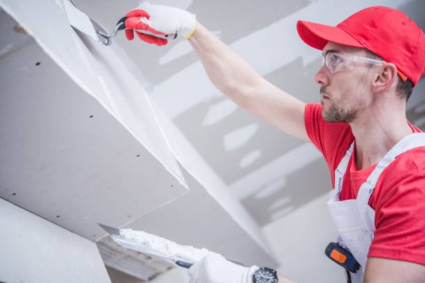 Best Ceiling Drywall Installation  in Mountain View Ranches, AZ